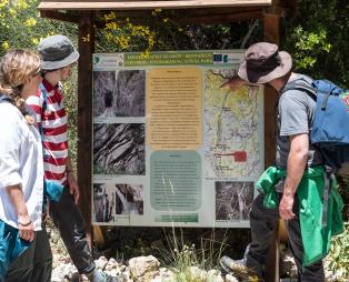 Orias Guesthouse & Farm: Ζήστε αξέχαστες εμπειρίες στην ορεινή Αχαΐα